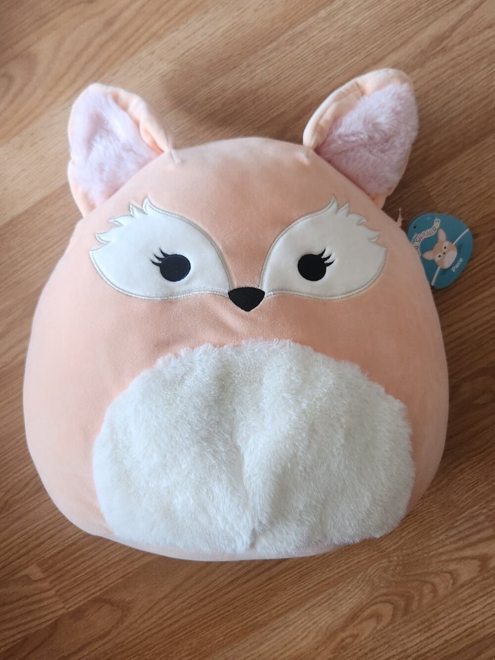 Squishmallows NWT 14" Pace the Fennec Fox